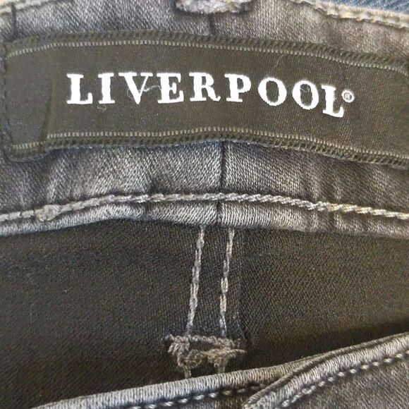 Liverpool The Skinny fit jeans in Meteorite gray wash, 6/28 - Picture 6 of 12